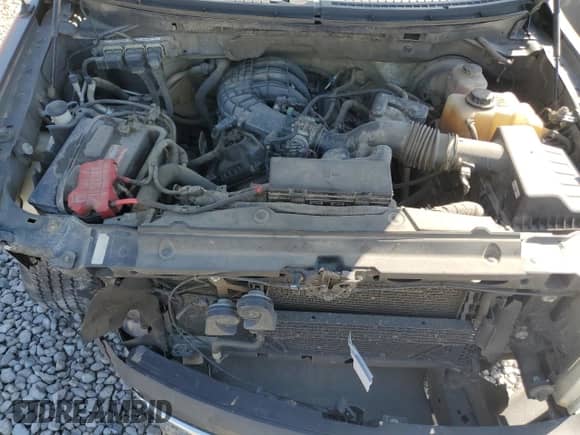 2013 Ford F-150 XL z VIN 1FTMF1CM1DKE08800, wystawiony jako Copart lot #50360235 z przebiegiem 227 842 mil mil oraz Szkoda całkowita • Salvage title. Historia ofert i sprzedaży dostępna na DreamBid. Obrazek 11.