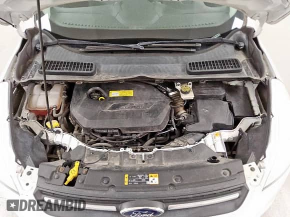 2014 Ford Escape SE z VIN 1FMCU0GX4EUC91876, wystawiony jako Copart lot #66355735 z przebiegiem 206 822 mil mil oraz Czysty tytuł • Clean title. Historia ofert i sprzedaży dostępna na DreamBid. Obrazek 12.