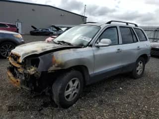 2003 Hyundai Santa Fe GLS z VIN KM8SC73D33U486383, wystawiony jako Copart lot #80148775 z przebiegiem 219 900 mil mil oraz Szkoda całkowita • Salvage title. Historia ofert i sprzedaży dostępna na DreamBid. Obrazek 1.