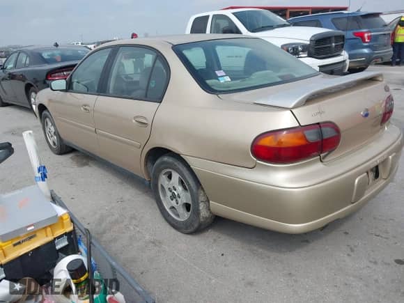 2005 Chevrolet Malibu Classic z VIN 1G1ND52F45M248737, wystawiony jako IAAI lot #41993300 z przebiegiem Nie podano mil oraz . Historia ofert i sprzedaży dostępna na DreamBid. Obrazek 3.