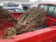 1996 Ford F-150 с VIN 1FTEF14NXTLB76833, выставлен на аукционе Copart как лот 82742374 с пробегом 250 375 миль миль и Списание • Salvage title. История ставок и продаж доступна на DreamBid. Изображение 10.