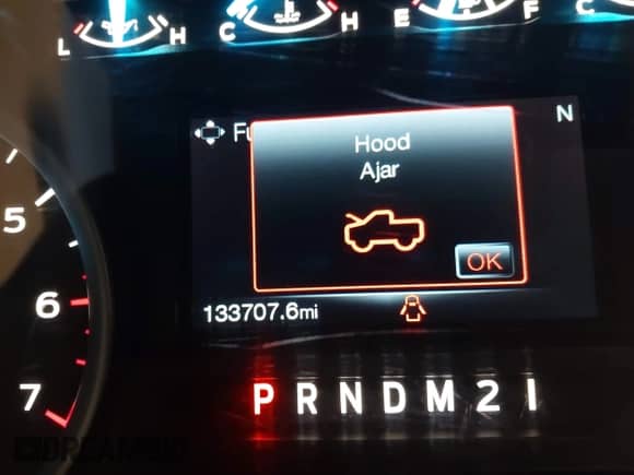 2016 Ford F-150 XLT z VIN 1FTEW1EG2GKF48855, wystawiony jako IAAI lot #43177992 z przebiegiem 133 707 mil mil oraz . Historia ofert i sprzedaży dostępna na DreamBid. Obrazek 16.