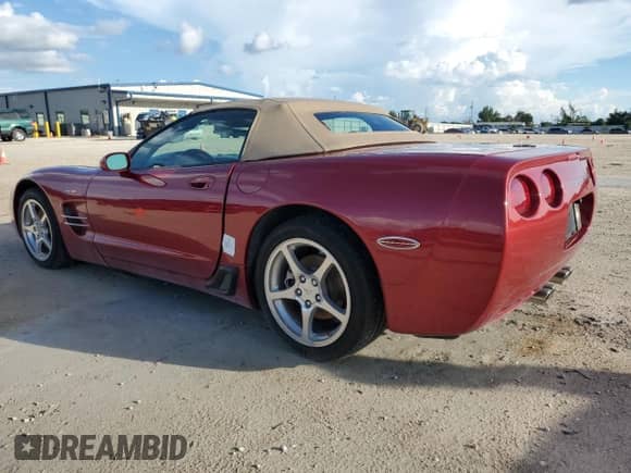 1999 Chevrolet Corvette с VIN 1G1YY32G9X5106069, выставлен на аукционе Copart как лот 74094874 с пробегом 115 574 миль миль и Списание • Salvage title. История ставок и продаж доступна на DreamBid. Изображение 2.