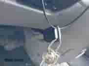 2004 Honda Odyssey EX-RES с VIN 5FNRL18814B128818, выставлен на аукционе IAAI как лот 42844253 с пробегом 240 354 миль миль и . История ставок и продаж доступна на DreamBid. Изображение 11.