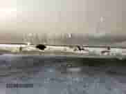 2005 Chevrolet Silverado 1500 Work Truck с VIN 1GCEC14X35Z184850, выставлен на аукционе IAAI как лот 43564120 с пробегом 38 903 миль миль и . История ставок и продаж доступна на DreamBid. Изображение 26.