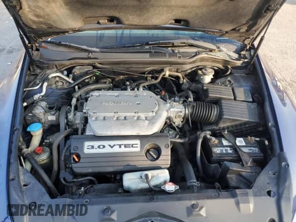 2004 Honda Accord LX with VIN 1HGCM66374A067153, listed as a Copart auction lot 81215855 with 242,496 mi miles and Salvage title. Bid and sale history available at DreamBid. Image 11.