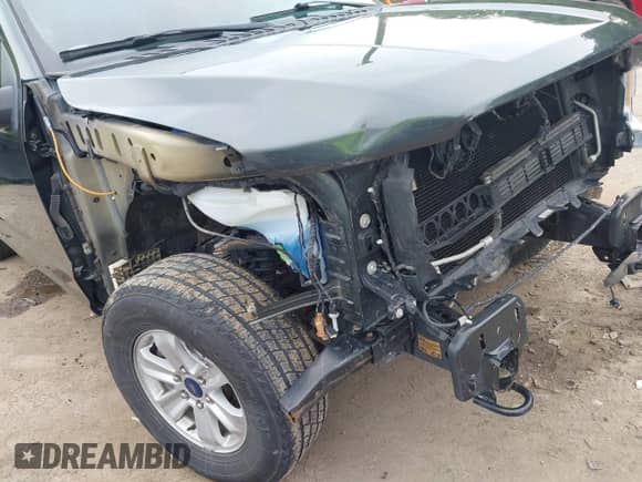 2018 Ford F-150 XL z VIN 1FTEW1EB4JKD70961, wystawiony jako IAAI lot #42481830 z przebiegiem 76 972 mil mil oraz . Historia ofert i sprzedaży dostępna na DreamBid. Obrazek 19.