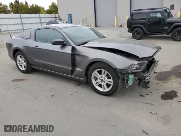 2014 Ford Mustang V6 with VIN 1ZVBP8AM1E5224499, listed as a Copart auction lot 81845745 with 169,504 mi miles and Salvage title. Bid and sale history available at DreamBid. Image 4.