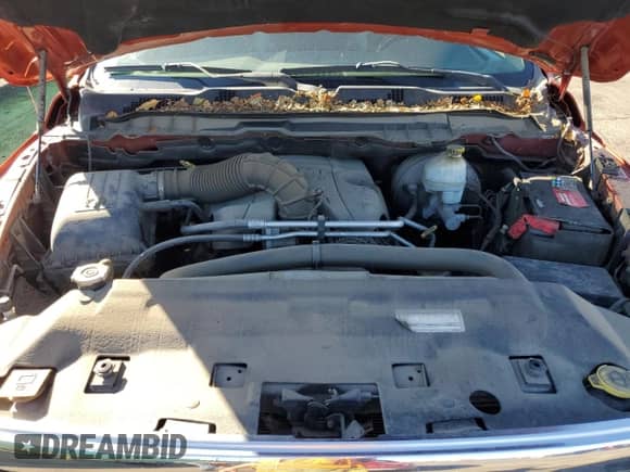 2009 Dodge 1500 SLT with VIN 1D3HV13T19S702207, listed as a Copart auction lot 82723095 with 194,064 mi miles and Clean title. Bid and sale history available at DreamBid. Image 11.