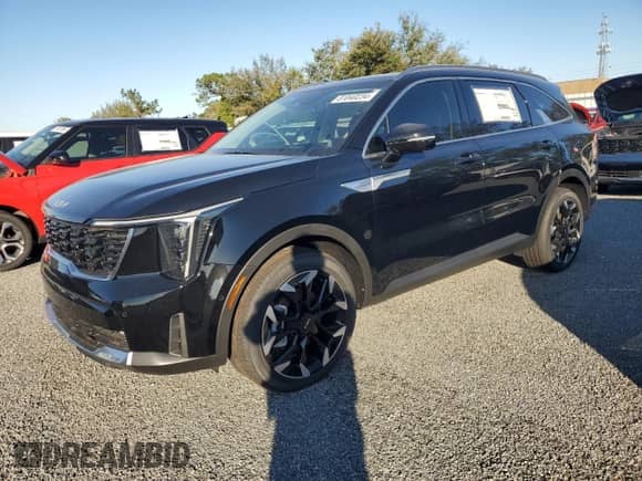 2024 Kia Sorento SX with VIN 5XYRK4JF1RG303162, listed as a Copart auction lot 81040234 with 12 mi miles and Salvage title. Bid and sale history available at DreamBid. Image 1.