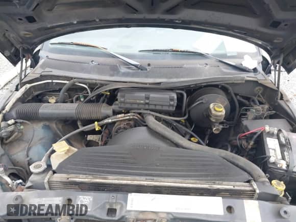 1999 Dodge 1500 with VIN 1B7HC16X4XS277415, listed as a IAAI auction lot 41488195 with 338,696 mi miles and . Bid and sale history available at DreamBid. Image 10.