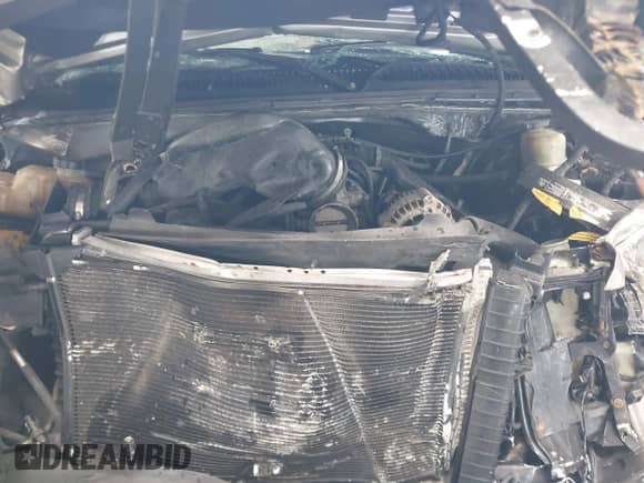 2002 Chevrolet Silverado 1500 LS with VIN 2GCEC19T221427915, listed as a IAAI auction lot 43143055 with Not provided miles and . Bid and sale history available at DreamBid. Image 10.