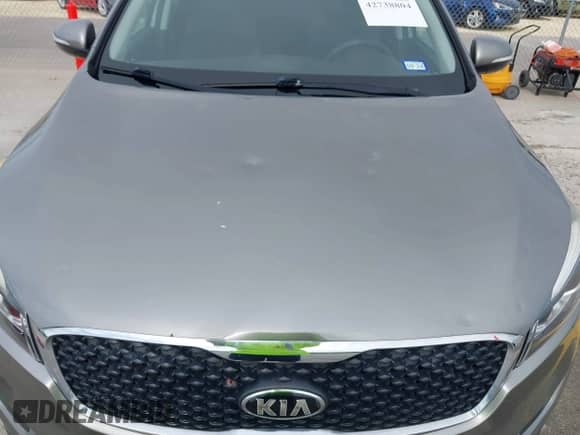 2017 Kia Sorento LX with VIN 5XYPG4A30HG226166, listed as a IAAI auction lot 42738804 with 122,790 mi miles and . Bid and sale history available at DreamBid. Image 6.