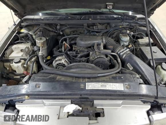 2001 Chevrolet Blazer LT z VIN 1GNDT13W712214351, wystawiony jako Copart lot #70259904 z przebiegiem 191 799 mil mil oraz Szkoda całkowita • Salvage title. Historia ofert i sprzedaży dostępna na DreamBid. Obrazek 12.