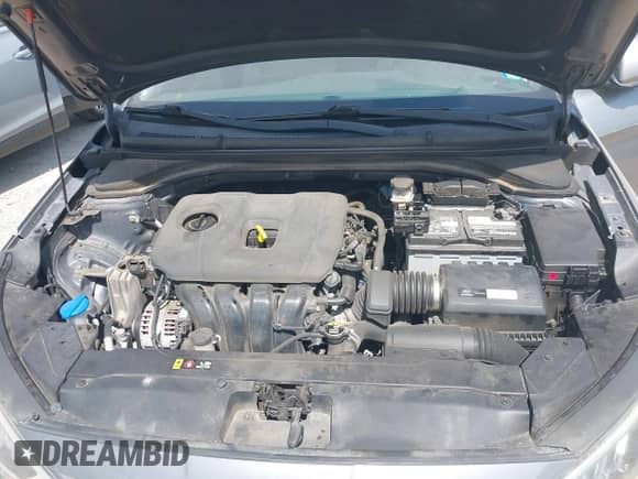 2019 Hyundai Elantra SEL с VIN 5NPD84LF3KH418432, выставлен на аукционе IAAI как лот 43244600 с пробегом 64 216 миль миль и . История ставок и продаж доступна на DreamBid. Изображение 10.