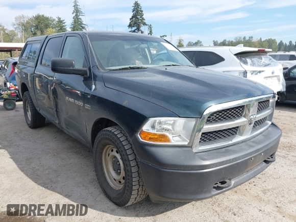 2011 Ram 1500 Outdoorsman with VIN 1D7RV1CT3BS529105, listed as a IAAI auction lot 43120415 with 142,619 mi miles and . Bid and sale history available at DreamBid. Image 1.