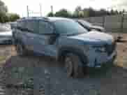 2025 Honda Passport TrailSport with VIN 5FNYF8H6XSB005686, listed as a Copart auction lot 67191165 with 8,768 mi miles and Salvage title. Bid and sale history available at DreamBid. Image 4.