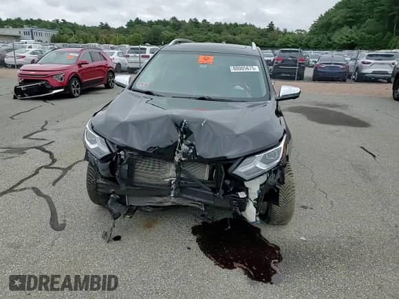 2020 Chevrolet Equinox Premier with VIN 2GNAXYEX8L6131748, listed as a Copart auction lot 80005675 with 74,716 mi miles and Salvage title. Bid and sale history available at DreamBid. Image 14.
