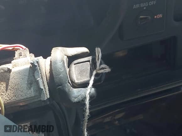 1999 Chevrolet Silverado 1500 with VIN 1GCEC19M5XR124635, listed as a IAAI auction lot 42053209 with 256,735 mi miles and . Bid and sale history available at DreamBid. Image 11.