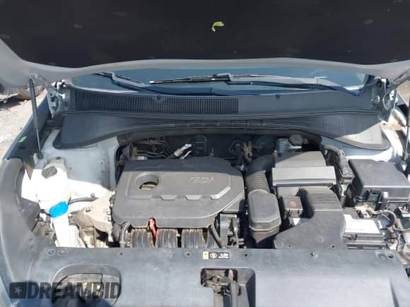 2016 Kia Sorento LX z VIN 5XYPG4A3XGG011019, wystawiony jako IAAI lot #43121519 z przebiegiem 164 268 mil mil oraz . Historia ofert i sprzedaży dostępna na DreamBid. Obrazek 10.