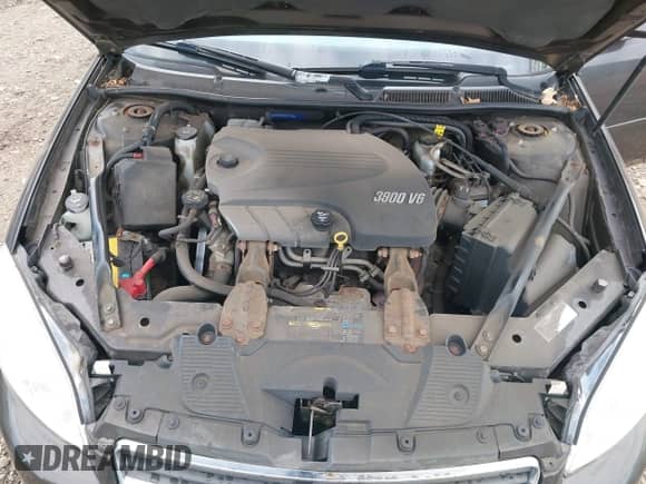 2009 Chevrolet Impala LT с VIN 2G1WC57M691219143, выставлен на аукционе IAAI как лот 43191533 с пробегом 11 173 миль миль и . История ставок и продаж доступна на DreamBid. Изображение 10.