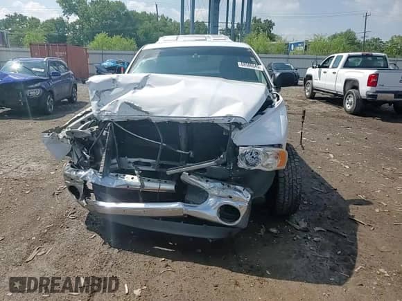 2005 Dodge 1500 ST с VIN 1D7HA16K75J644701, выставлен на аукционе Copart как лот 68586545 с пробегом 106 811 миль миль и Списание • Salvage title. История ставок и продаж доступна на DreamBid. Изображение 13.
