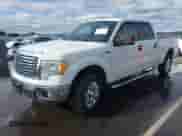 2012 Ford F-150 XL z VIN 1FTFW1EF0CFC67118, wystawiony jako IAAI lot #43431293 z przebiegiem 232 546 mil mil oraz . Historia ofert i sprzedaży dostępna na DreamBid. Obrazek 16.