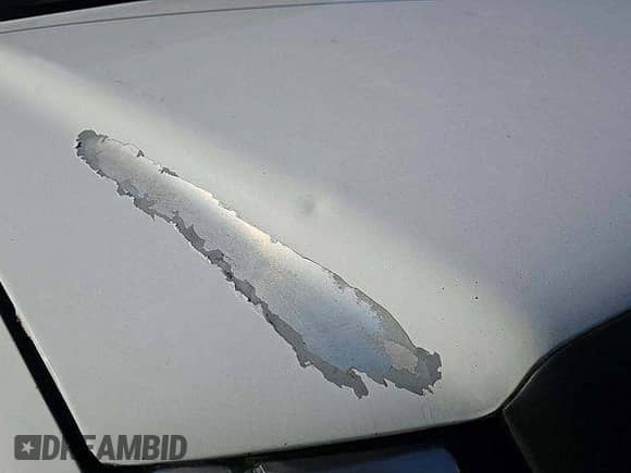 2005 Ford F-150 XL z VIN 1FTRF12WX5KE14539, wystawiony jako IAAI lot #43600244 z przebiegiem 180 608 mil mil oraz . Historia ofert i sprzedaży dostępna na DreamBid. Obrazek 13.