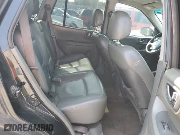 2003 Hyundai Santa Fe GLS with VIN KM8SC13D63U360869, listed as a Copart auction lot 70447874 with 206,488 mi miles and Salvage title. Bid and sale history available at DreamBid. Image 11.