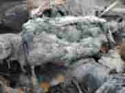 2017 Toyota Camry XLE with VIN 4T1BF1FKXHU636589, listed as a Copart auction lot 65029065 with Not provided miles and Salvage title. Bid and sale history available at DreamBid. Image 9.