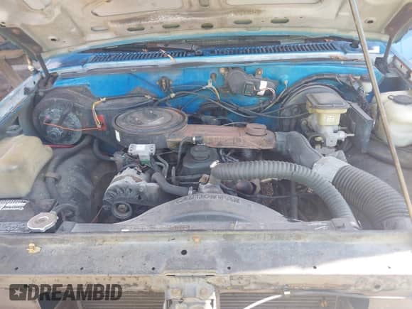 1989 Chevrolet S-10 with VIN 1GCBS14E9K2139257, listed as a IAAI auction lot 43024847 with 250,715 mi miles and . Bid and sale history available at DreamBid. Image 10.