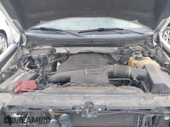 2011 Ford F-150 XLT z VIN 1FTFW1ET2BFA91919, wystawiony jako IAAI lot #43335943 z przebiegiem 280 037 mil mil oraz . Historia ofert i sprzedaży dostępna na DreamBid. Obrazek 10.