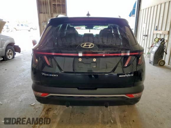 2024 Hyundai Tucson SEL Convenience with VIN KM8JCCD12RU141489, listed as a Copart auction lot 69904385 with 24,348 mi miles and Salvage title. Bid and sale history available at DreamBid. Image 6.