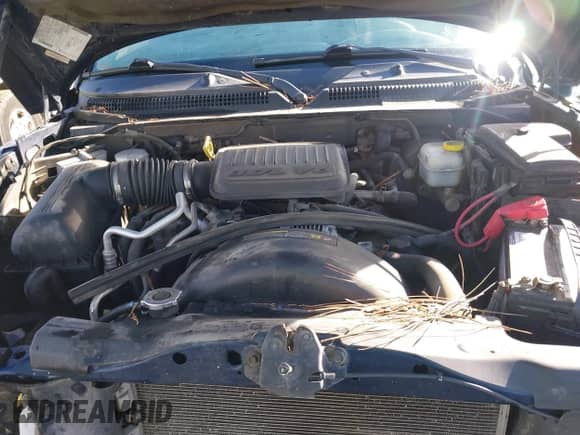 2005 Dodge Dakota ST with VIN 1D7HW22K75S294445, listed as a IAAI auction lot 41527655 with 112,155 mi miles and . Bid and sale history available at DreamBid. Image 10.