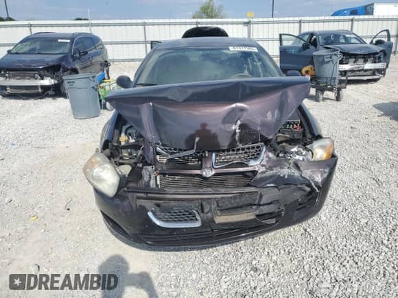 2004 Dodge Stratus SE with VIN 1B3EL36T74N168258, listed as a Copart auction lot 81377365 with Not provided miles and Salvage title. Bid and sale history available at DreamBid. Image 5.