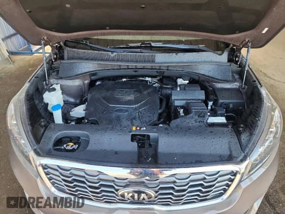 2020 Kia Sorento EX with VIN 5XYPHDA54LG636508, listed as a Copart auction lot 68666195 with 67,123 mi miles and Clean title. Bid and sale history available at DreamBid. Image 12.
