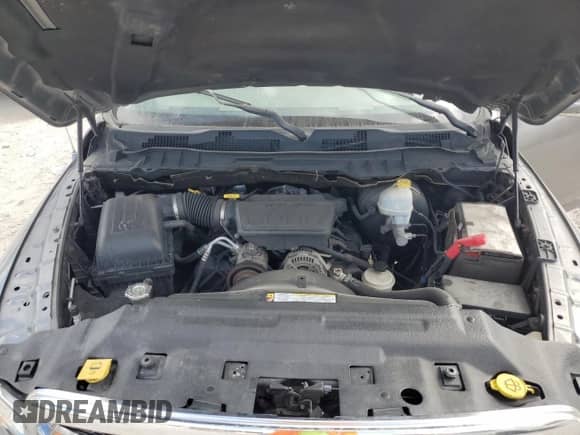 2010 Dodge 1500 SLT с VIN 1D7RV1GP3AS113406, выставлен на аукционе Copart как лот 85260515 с пробегом 185 731 миль миль и Списание • Salvage title. История ставок и продаж доступна на DreamBid. Изображение 11.