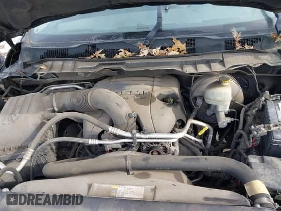 2014 Ram 1500 Express z VIN 3C6JR7AT3EG163795, wystawiony jako IAAI lot #41416053 z przebiegiem 173 075 mil mil oraz . Historia ofert i sprzedaży dostępna na DreamBid. Obrazek 10.