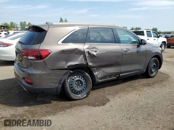 2019 Kia Sorento EX with VIN 5XYPHDA39KG597881, listed as a Copart auction lot 59719525 with 113,263 mi miles and Clean title. Bid and sale history available at DreamBid. Image 3.
