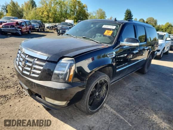 2008 Cadillac Escalade ESV with VIN 1GYFK66868R134789, listed as a Copart auction lot 85561125 with Not provided miles and Salvage title. Bid and sale history available at DreamBid. Image 1.