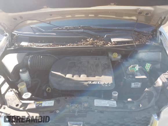 2013 Dodge Grand Caravan SXT с VIN 2C4RDGCG4DR719194, выставлен на аукционе IAAI как лот 43353125 с пробегом Не указан миль и . История ставок и продаж доступна на DreamBid. Изображение 10.