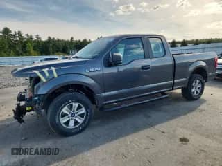 2019 Ford F-150 XL with VIN 1FTEX1EP0KFA26787, listed as a Copart auction lot 70403915 with 50,522 mi miles and Salvage title. Bid and sale history available at DreamBid. Image 1.