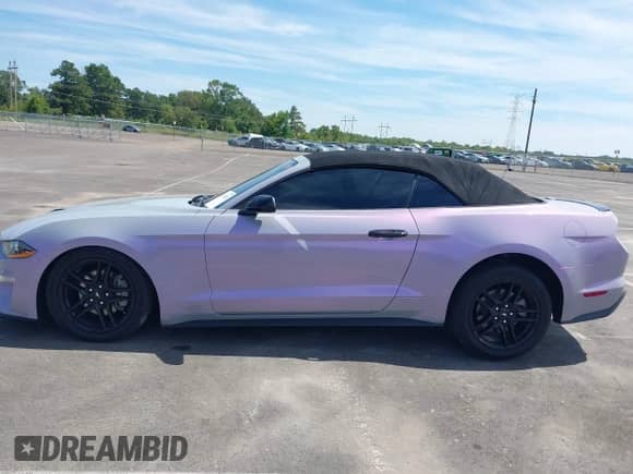 2022 Ford Mustang EcoBoost z VIN 1FATP8UH1N5101555, wystawiony jako IAAI lot #43112342 z przebiegiem 78 253 mil mil oraz . Historia ofert i sprzedaży dostępna na DreamBid. Obrazek 14.