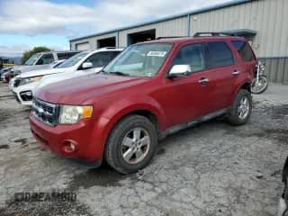 2011 Ford Escape XLT с VIN 1FMCU9DG0BKA15467, выставлен на аукционе Copart как лот 86098375 с пробегом 112 090 миль миль и Списание • Salvage title. История ставок и продаж доступна на DreamBid. Изображение 1.