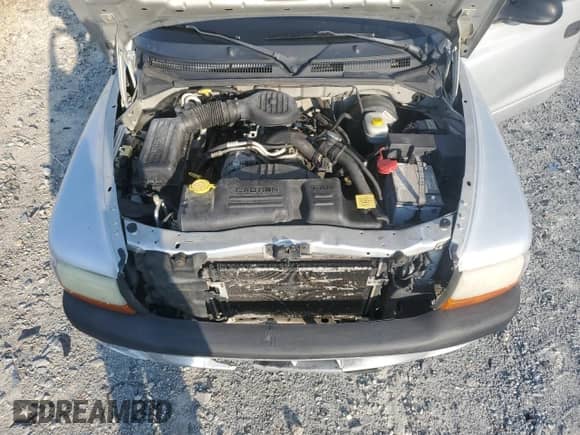 2002 Dodge Dakota Sport z VIN 1B7HL38X32S504501, wystawiony jako Copart lot #67901164 z przebiegiem 270 434 mil mil oraz Szkoda całkowita • Salvage title. Historia ofert i sprzedaży dostępna na DreamBid. Obrazek 12.