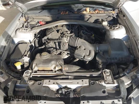 2014 Ford Mustang Premium с VIN 1ZVBP8AM7E5258141, выставлен на аукционе IAAI как лот 43455151 с пробегом 183 989 миль миль и . История ставок и продаж доступна на DreamBid. Изображение 10.