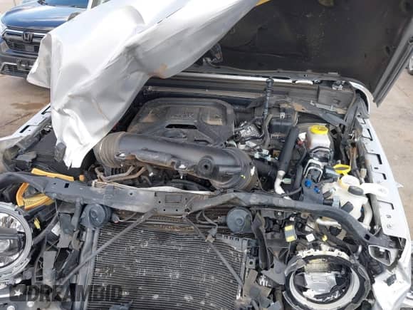 2024 Jeep Wrangler Sahara с VIN 1C4PJXEN5RW129340, выставлен на аукционе IAAI как лот 43058894 с пробегом 47 467 миль миль и . История ставок и продаж доступна на DreamBid. Изображение 10.