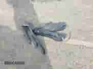 2016 Subaru Forester Touring with VIN JF2SJAVC3GH437843, listed as a IAAI auction lot 43295464 with 204,260 mi miles and . Bid and sale history available at DreamBid. Image 12.