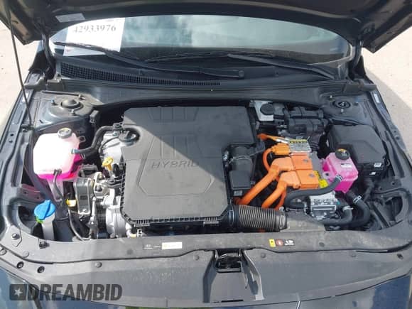 2025 Hyundai Elantra Blue with VIN KMHLM4DJ6SU133073, listed as a IAAI auction lot 42933976 with 6,503 mi miles and . Bid and sale history available at DreamBid. Image 10.