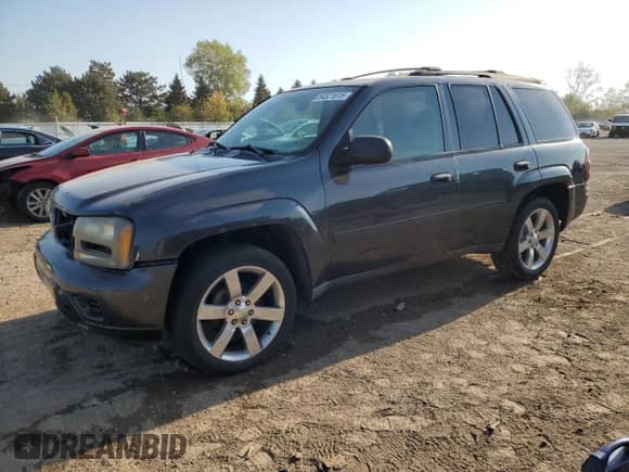 2006 Chevrolet TrailBlazer LS with VIN 1GNDT13S562256795, listed as a Copart auction lot 84521915 with 179,154 mi miles and Salvage title. Bid and sale history available at DreamBid. Image 1.